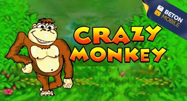 Crazy Monkey